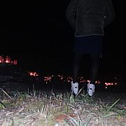 Panipenislkr - trans, 28 lat, Biłgoraj