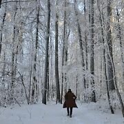 DevilFruit - mężczyzna, 27 lat, Wrocław