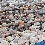 123man - mężczyzna, 36 lat, Rotterdam