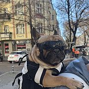 Dyziomarzyciel179 - mężczyzna, 46 lat, Szczecin