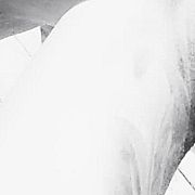 Alvaro1983 - mężczyzna, 42 lat, Poznań