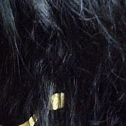 Kocica324 - frau, 36 Jahre, Katowice