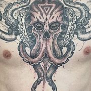 Enteroctopus - mężczyzna, 33 lat, Gdynia