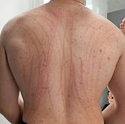 Szann - mann, 20 Jahre, Puławy