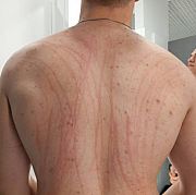 Szann - muž, 20 let, Bychawa