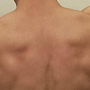 Wedwoje - mężczyzna, 40 lat, Chełm