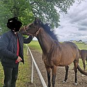 Michudlaniej - mężczyzna, 40 lat, Ostrów Wielkopolski