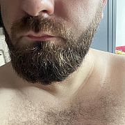 Beardie