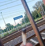 Masternr1 - man, 34 years, Tiel