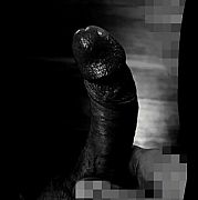 DyskretnyMichas35 - muž, 35 let, Elbląg