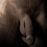 PieszczochWawaTarchomin - чоловік, 42 років, Warszawa