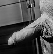 Tomekdomek666 - mężczyzna, 52 lat, Płock