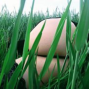 Zgrabnadupcia - trans, 28 lat, Choszczno