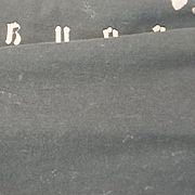 Omega444 - man, 21 years, Szczecin