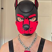 MadHavoc - мужчина, 23 лет, Pniewy