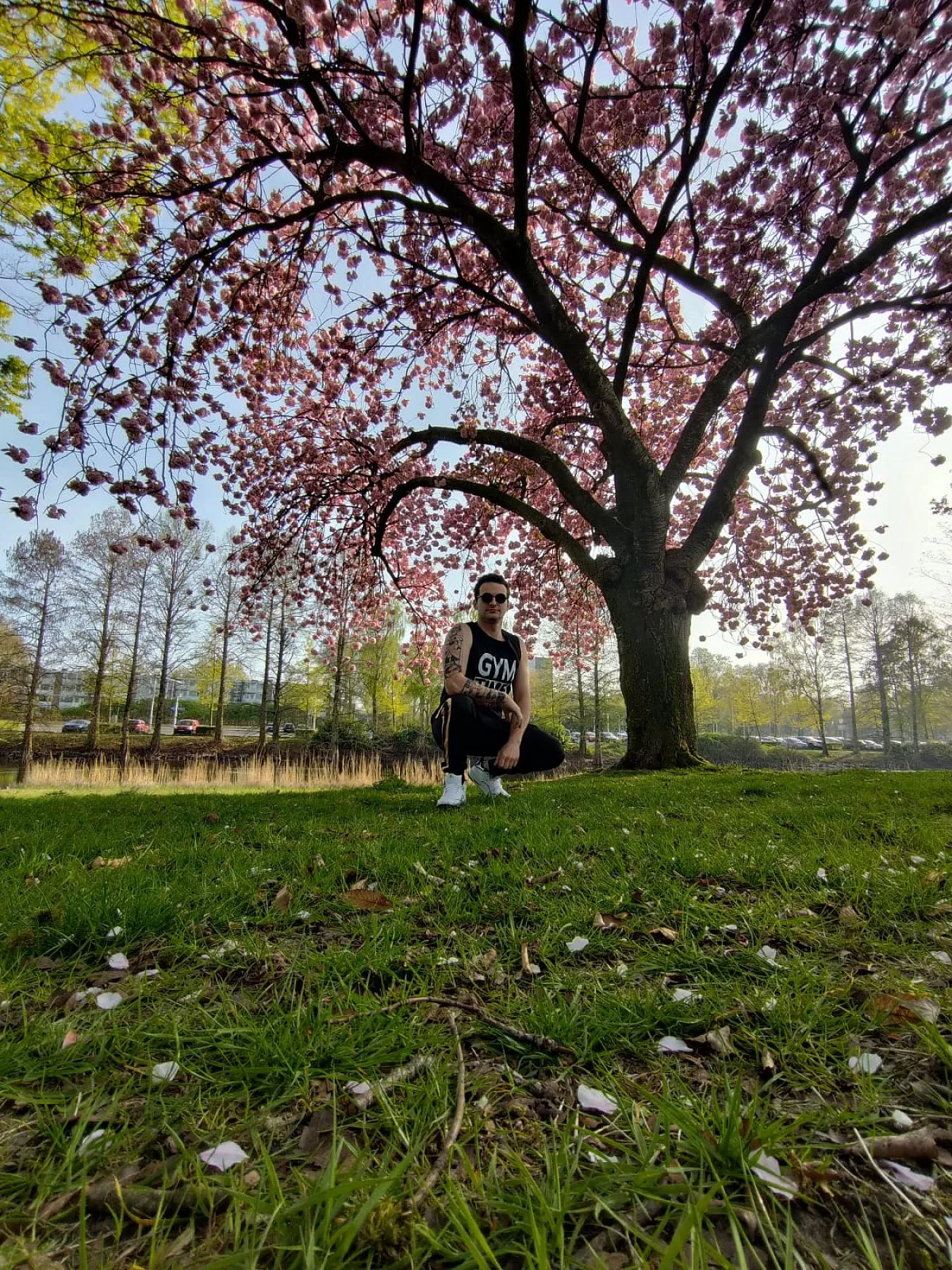 Photo in gallery