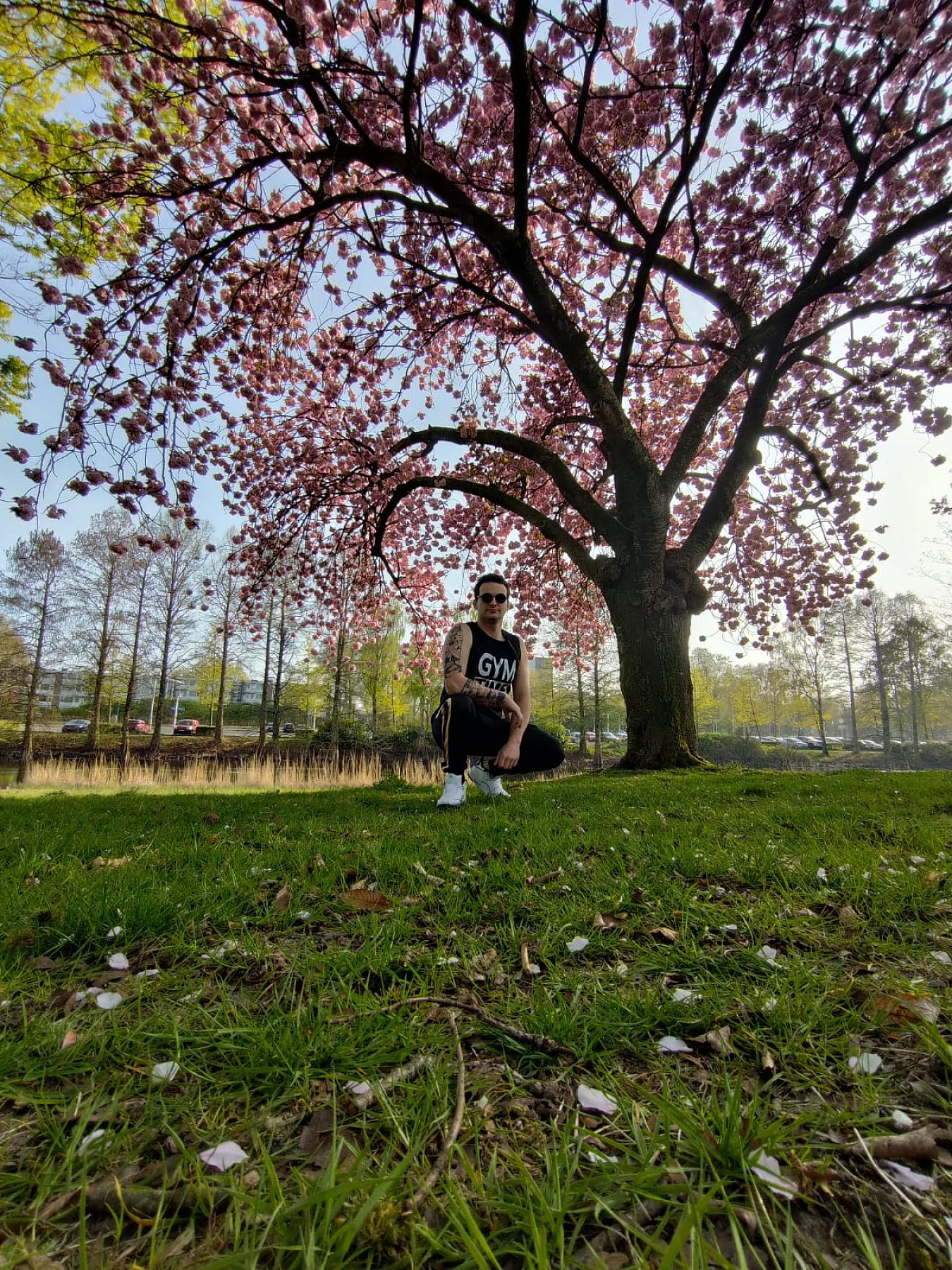 Photo in gallery