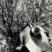 Shadows - мужчина, 42 лет, Dublin