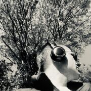 Shadows - мужчина, 42 лет, Dublin