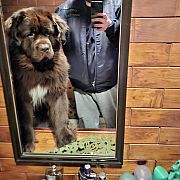 DaddyBear97 - mężczyzna, 27 lat, Poznań