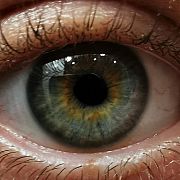 Milop - mann, 42 Jahre, Szczecin