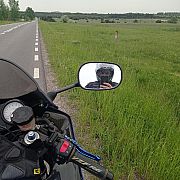 Leon1163l