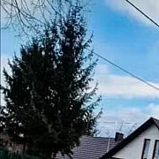 Wiciuxoo - mężczyzna, 18 lat, Nowy Sącz