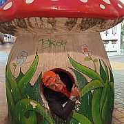 Vito69 - muž, 50 let, Valencia