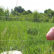 Dextermorgan1 - muž, 54 let, Ujście