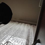 LIZACZ6969 - muž, 41 let, Ciechanów