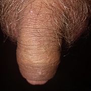 Wiesiek1979 - чоловік, 46 років, Pisz