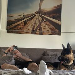 Photo in gallery
