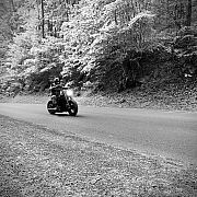 NigchtBiker - mężczyzna, 35 lat, Stavanger