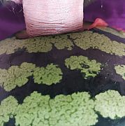 Morzeblisko - чоловік, 38 років, Koszalin