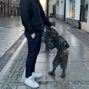 FilipStenge - man, 27 years, Warszawa