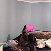 SweetPola - frau, 19 Jahre, Świebodzice