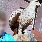 Siarczysty - muž, 31 let, Nowy Dwór Gdański