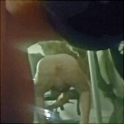 PervFF