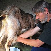 LEMI - mężczyzna, 75 lat, Bisztynek