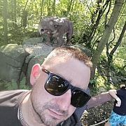 Normalny690