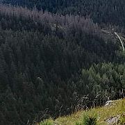 Robert975 - man, 28 years, Warszawa