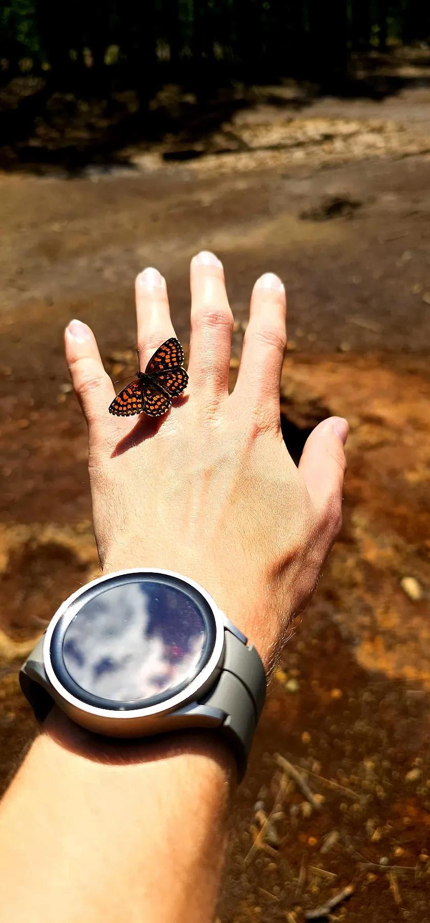 Photo in gallery