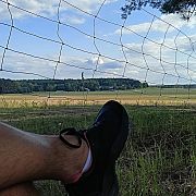 Darko67 - mężczyzna, 40 lat, Zielona Góra