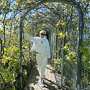 Mimi99 - kobieta, 42 lat, Szczecin