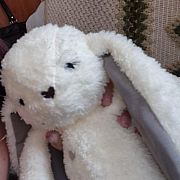 Wojciech2kk9 - mężczyzna, 21 lat, Biały Bór