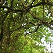 Bezpytan1 - man, 25 years, Szczecin