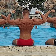 Ironbeast