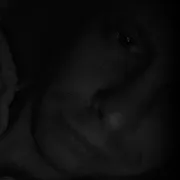 SexYBoy96