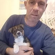 Lizusik - mann, 41 Jahre, Kazimierza Wielka