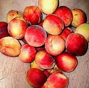 Superdelic - man, 36 years, Bukowno